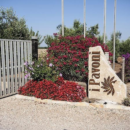 Апартаменти Agrimare I Pavoni Монтальто-ді-Кастро Екстер'єр фото